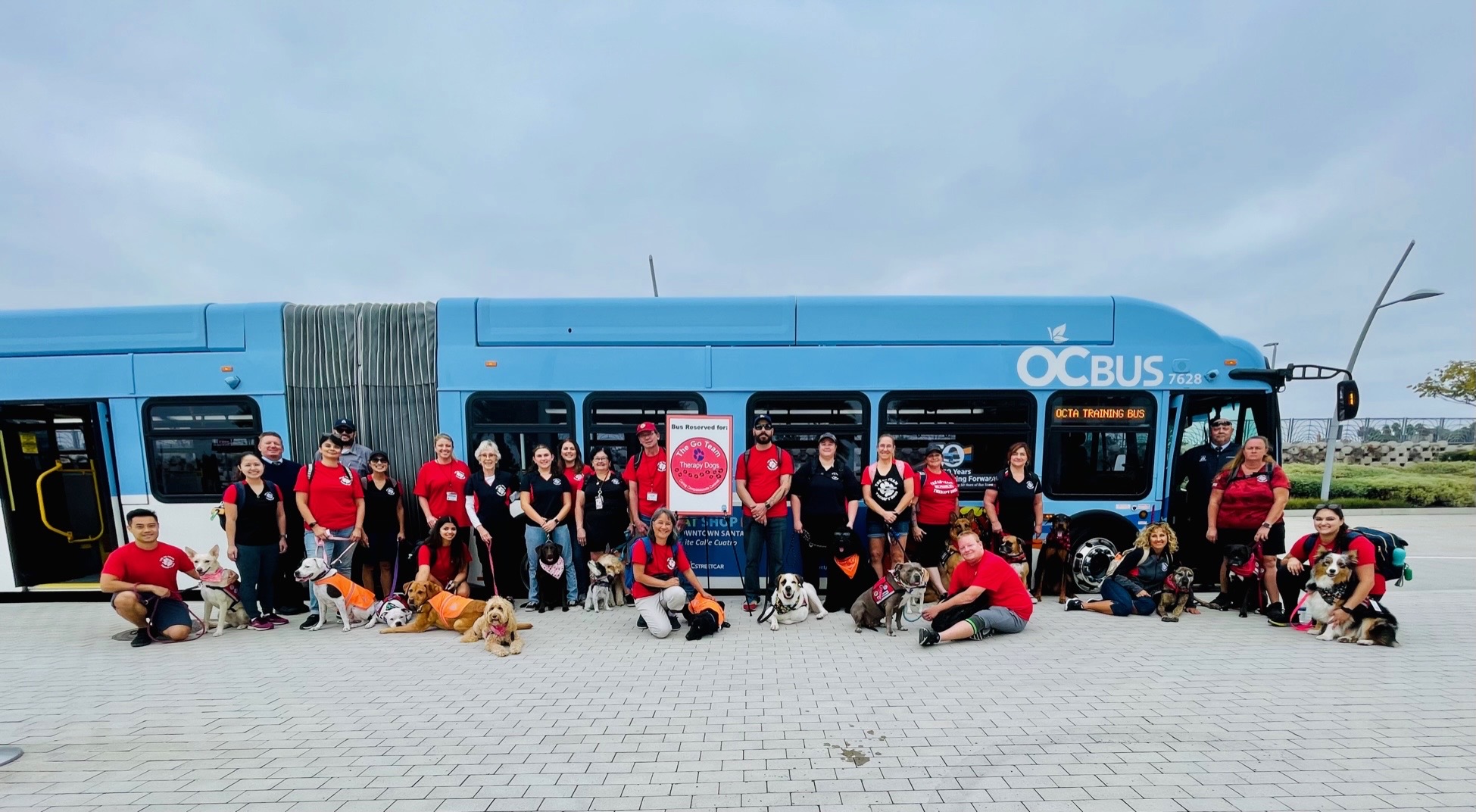 trainers and dogs
